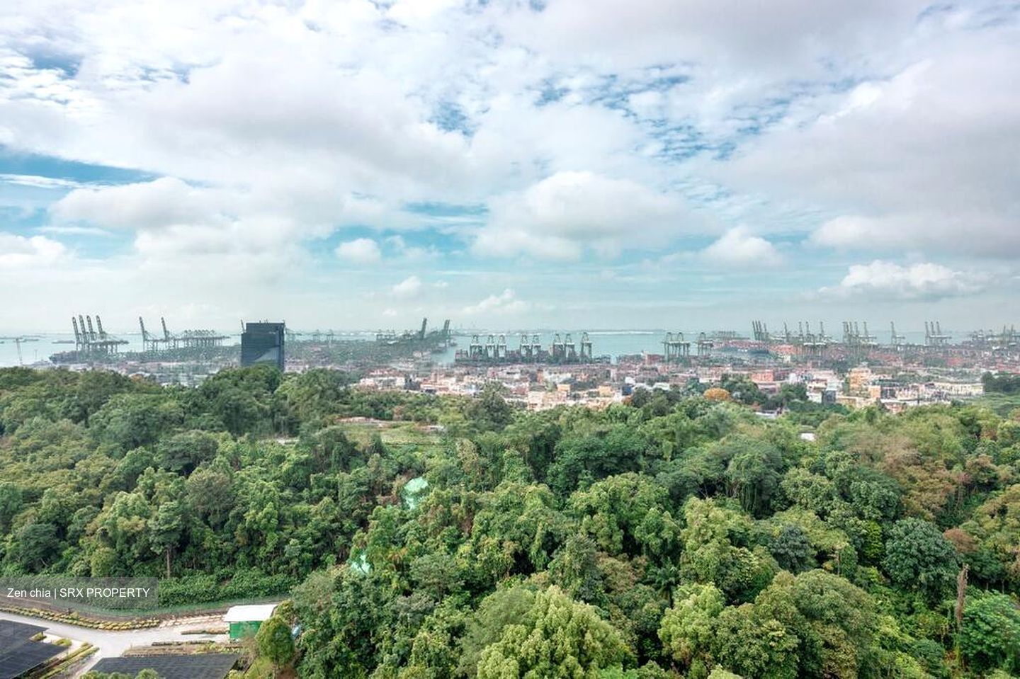 Normanton Park (D5), Apartment #498076671